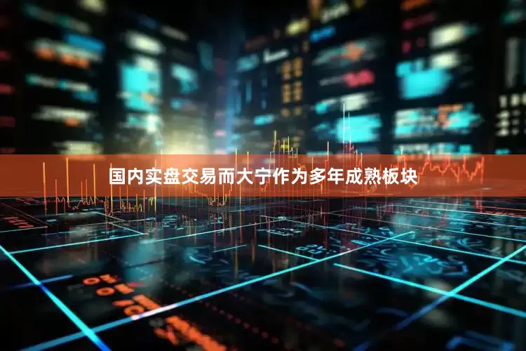 国内实盘交易而大宁作为多年成熟板块