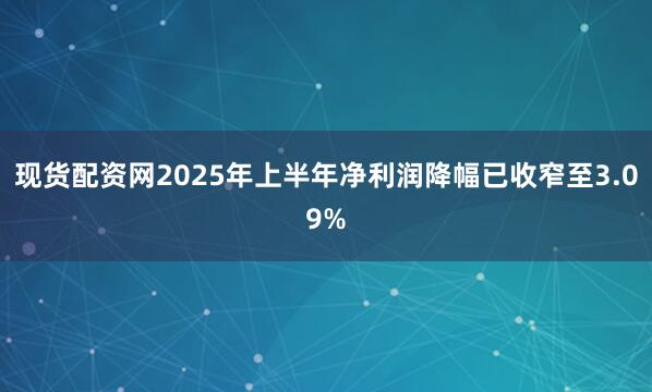 现货配资网2025年上半年净利润降幅已收窄至3.09%