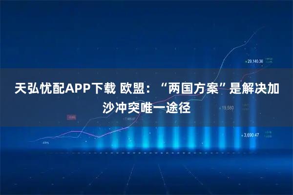 天弘忧配APP下载 欧盟：“两国方案”是解决加沙冲突唯一途径