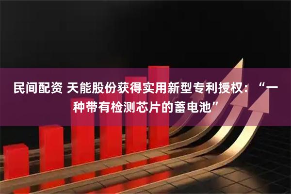 民间配资 天能股份获得实用新型专利授权：“一种带有检测芯片的蓄电池”